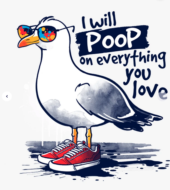 Seagull Pooping on Someone